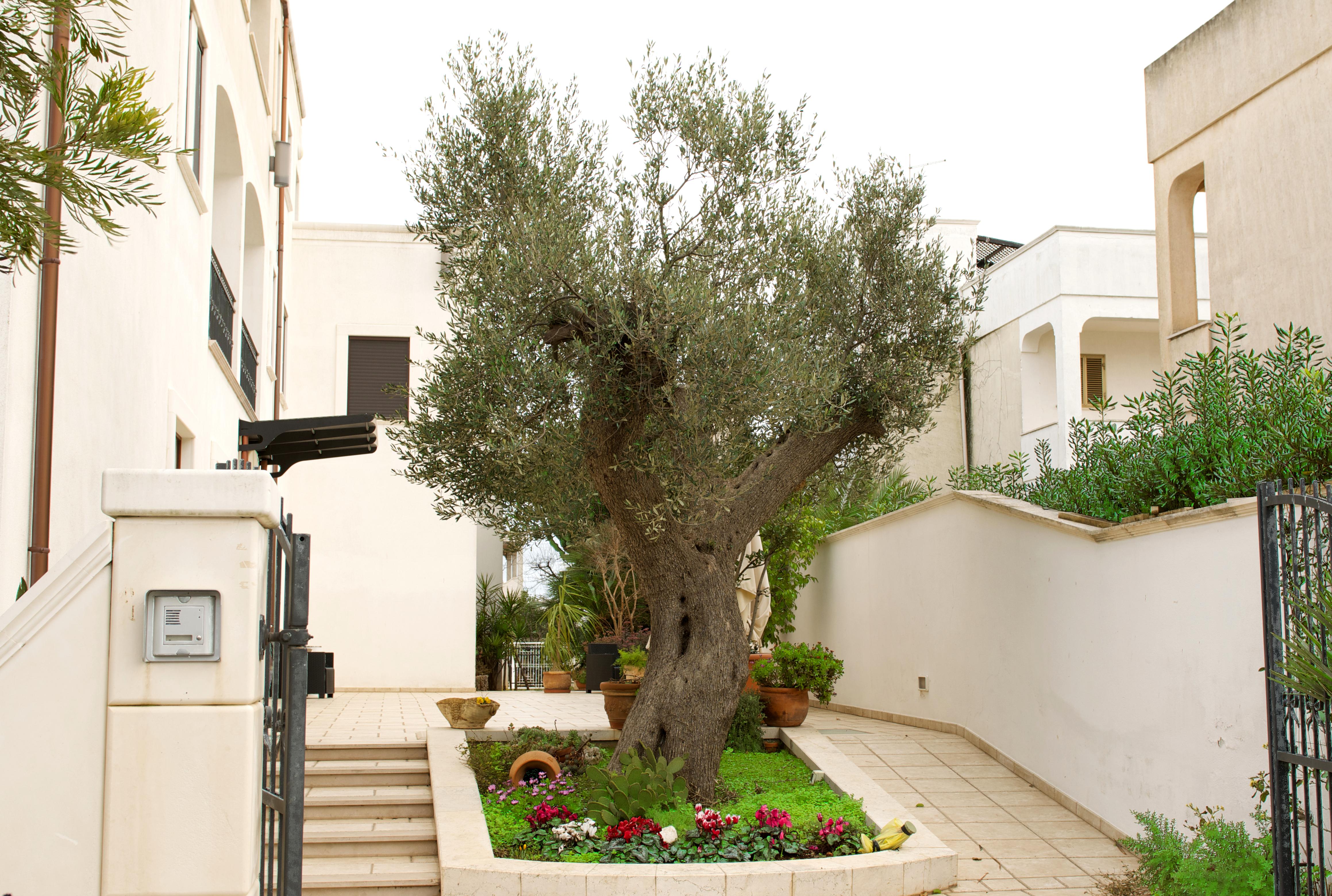 Hotel Victoria Torre Santa Sabina Zewnętrze zdjęcie